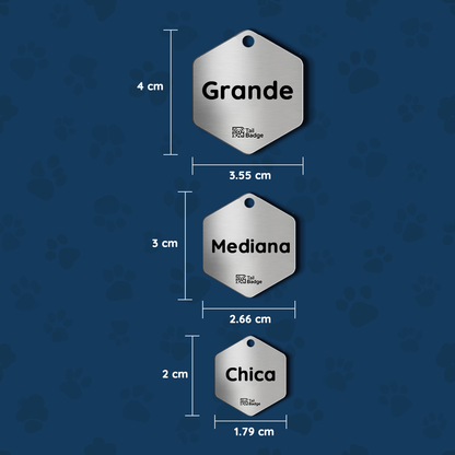 HEXAGON-SHAPED PET TAG