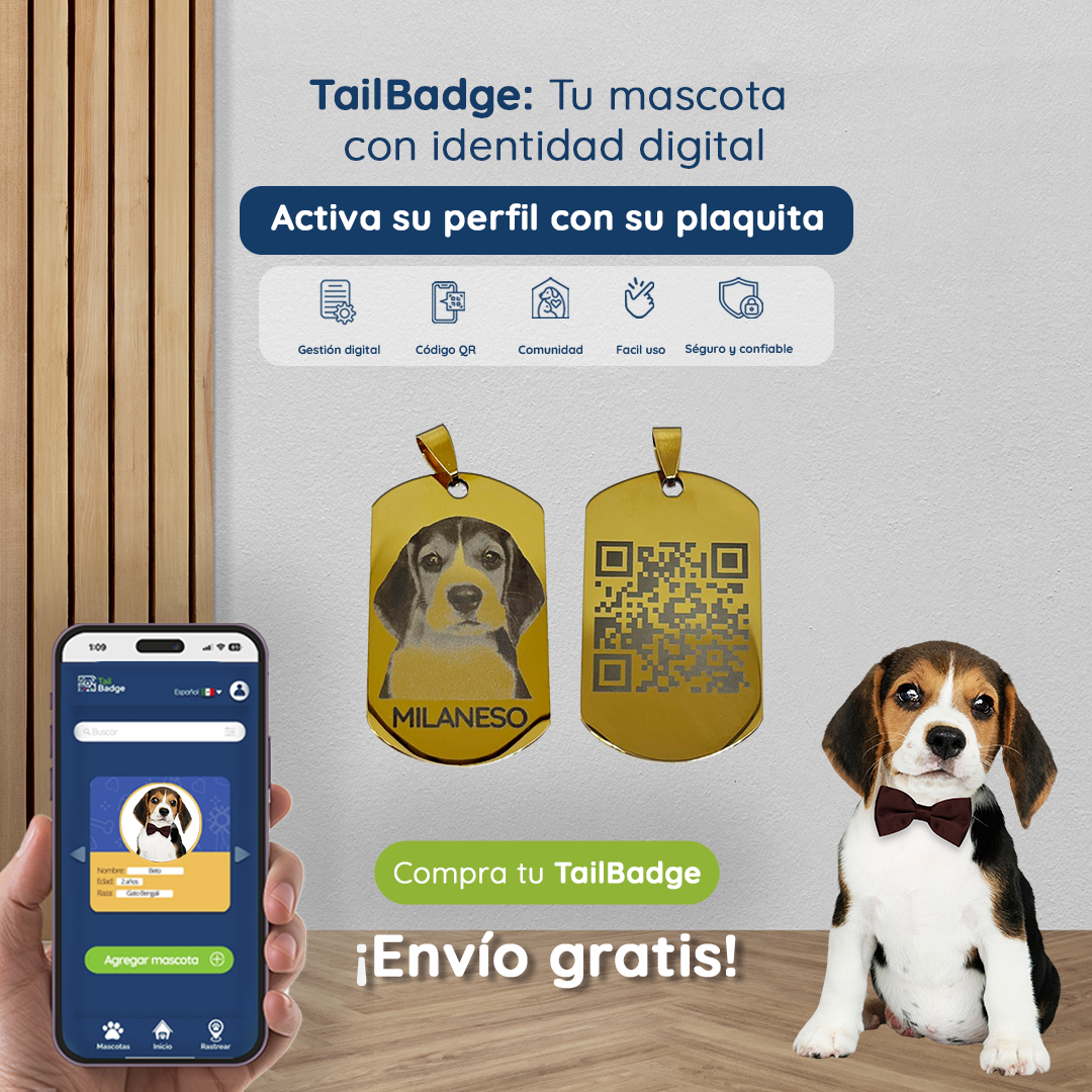 GOLD DOG TAG PET ID WITH PHOTO ENGRAVING