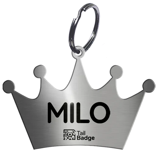 TailKey de acero en forma de corona, grabado con el nombre de la mascota